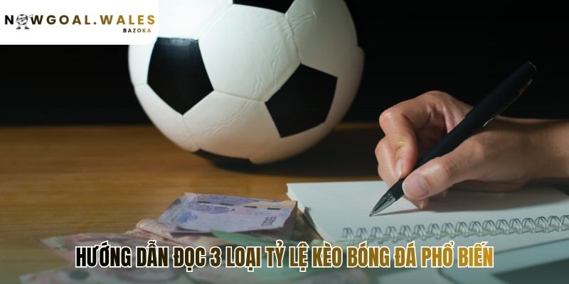 Hướng dẫn đọc tỷ lệ kèo là nền tảng phân tích trận đấu